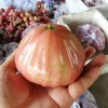 Mận đá đường loại 1, nhà trồng an toàn